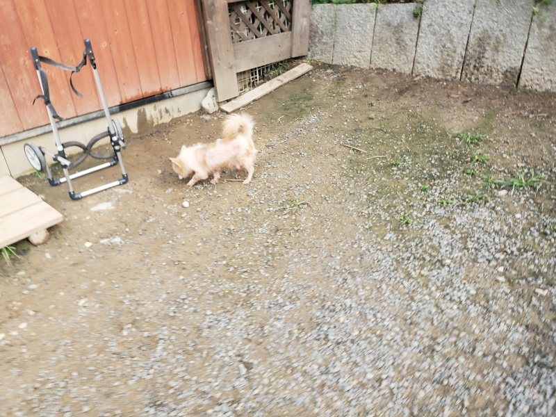 f:id:roukenhome-ann:20191021052843j:plain