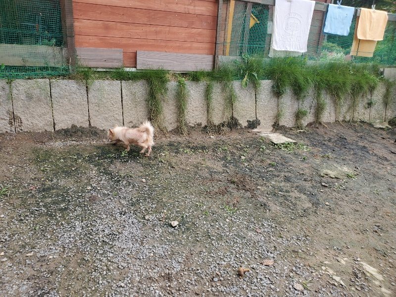 f:id:roukenhome-ann:20191021052915j:plain