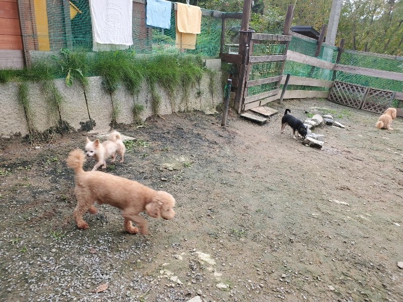 f:id:roukenhome-ann:20191021052935j:plain