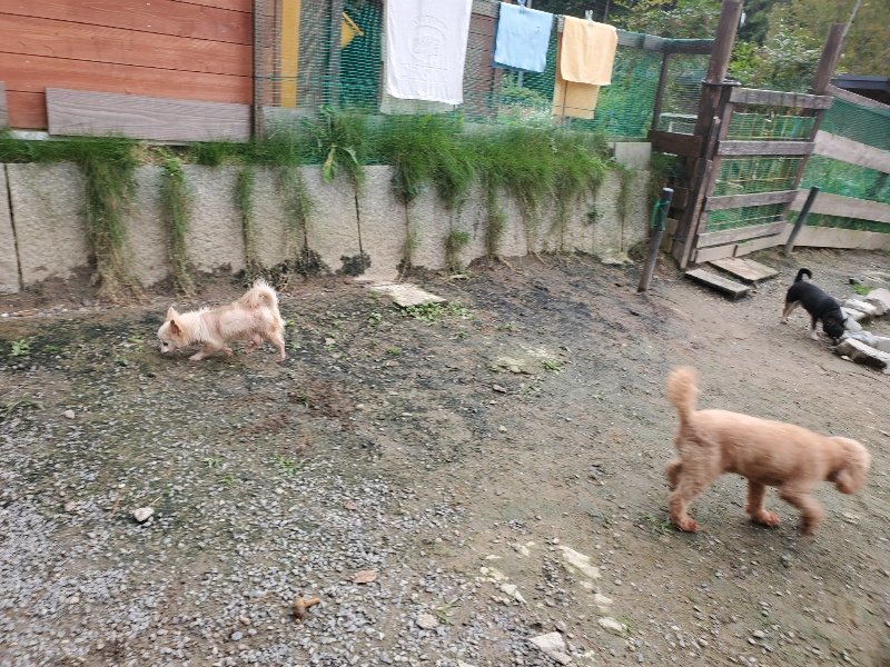 f:id:roukenhome-ann:20191021052948j:plain