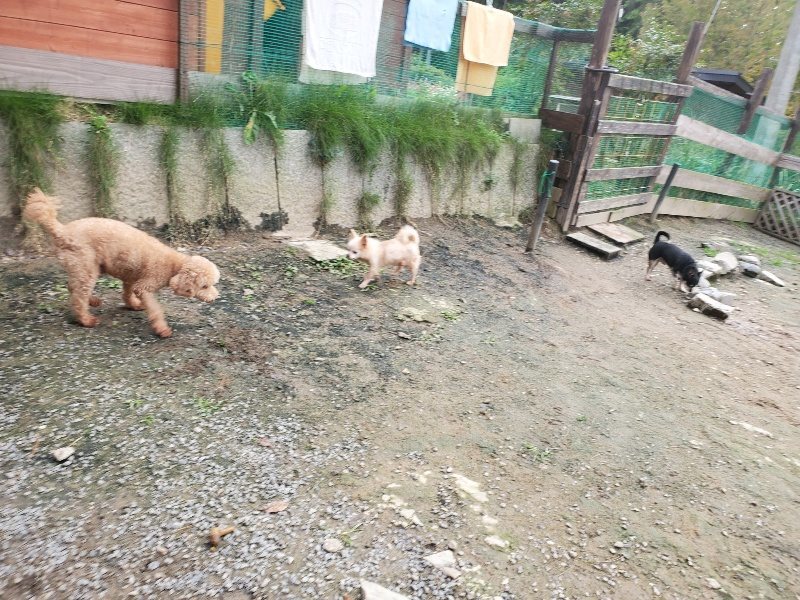 f:id:roukenhome-ann:20191021053007j:plain