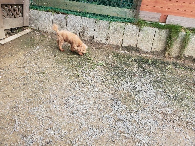 f:id:roukenhome-ann:20191021053016j:plain