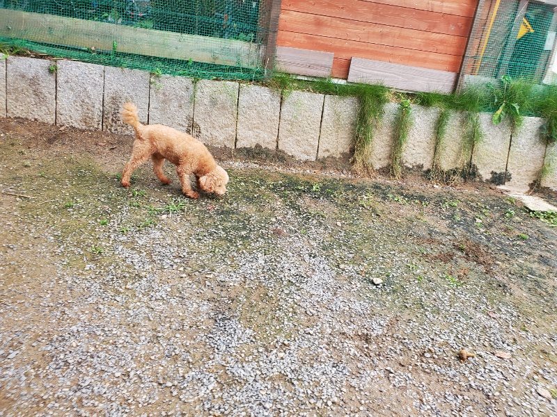 f:id:roukenhome-ann:20191021053033j:plain
