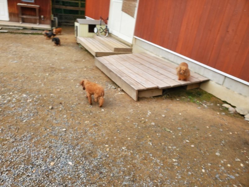 f:id:roukenhome-ann:20191021053043j:plain