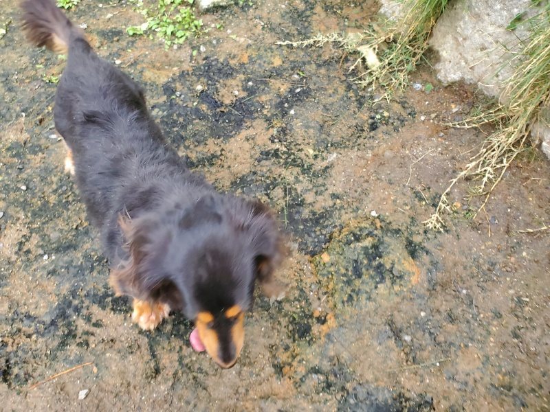 f:id:roukenhome-ann:20191021053054j:plain