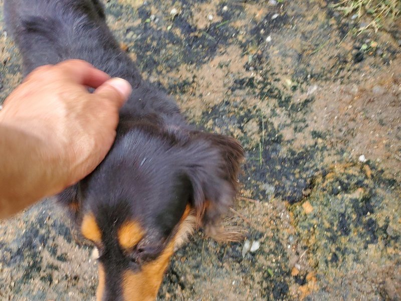 f:id:roukenhome-ann:20191021053107j:plain