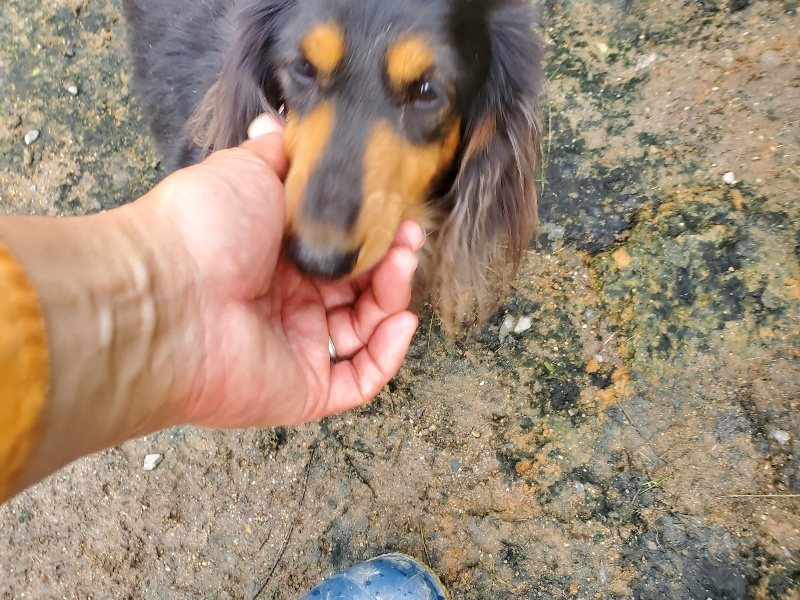 f:id:roukenhome-ann:20191021053112j:plain