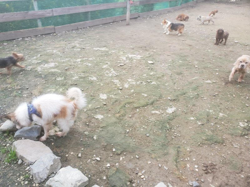 f:id:roukenhome-ann:20191021062616j:plain