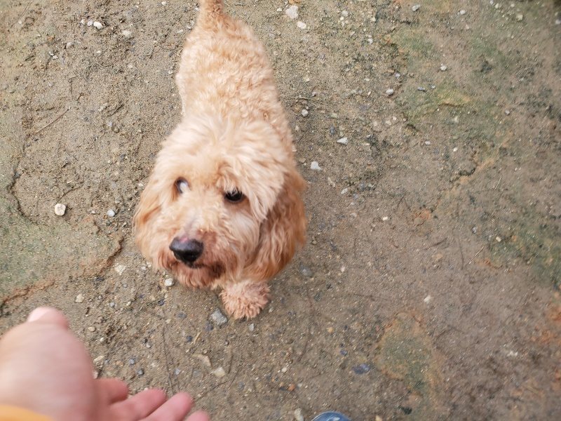 f:id:roukenhome-ann:20191021062704j:plain