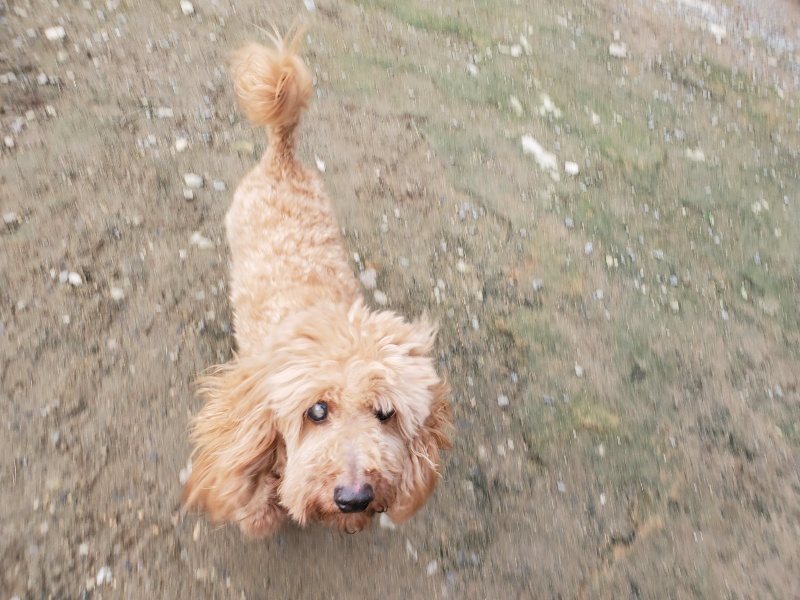f:id:roukenhome-ann:20191021062729j:plain