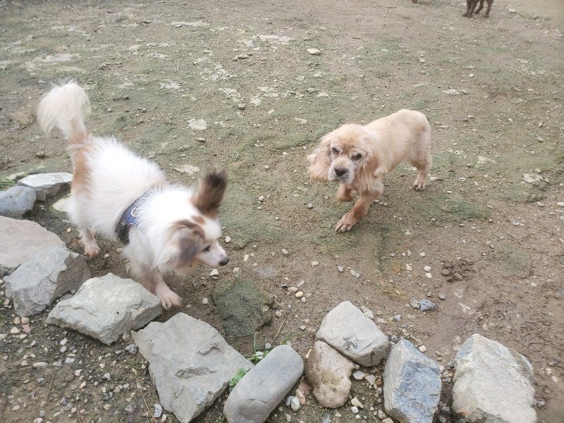 f:id:roukenhome-ann:20191021062740j:plain