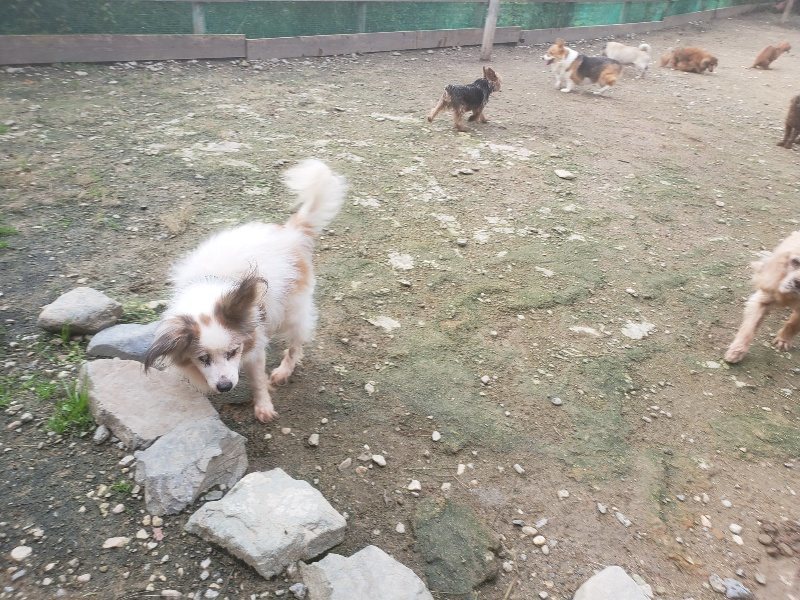 f:id:roukenhome-ann:20191021062756j:plain