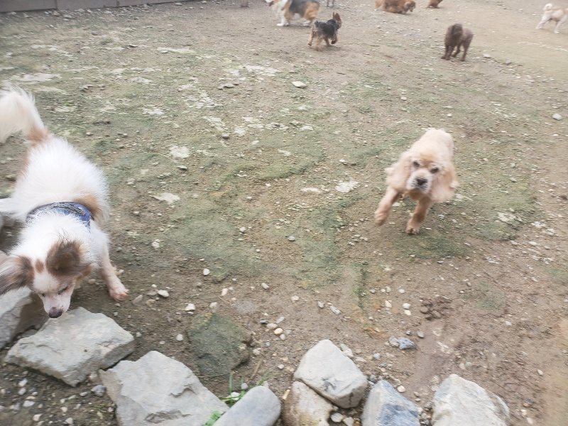 f:id:roukenhome-ann:20191021062806j:plain