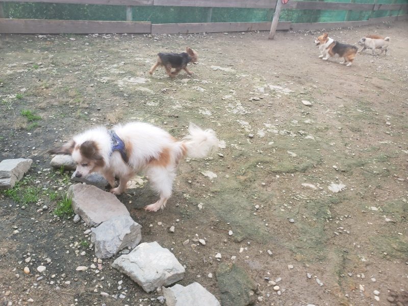 f:id:roukenhome-ann:20191021062816j:plain