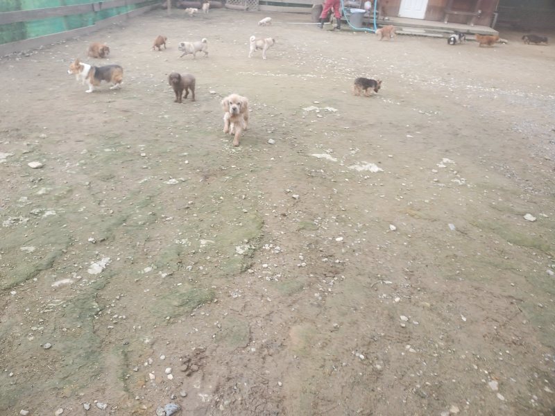 f:id:roukenhome-ann:20191021062821j:plain