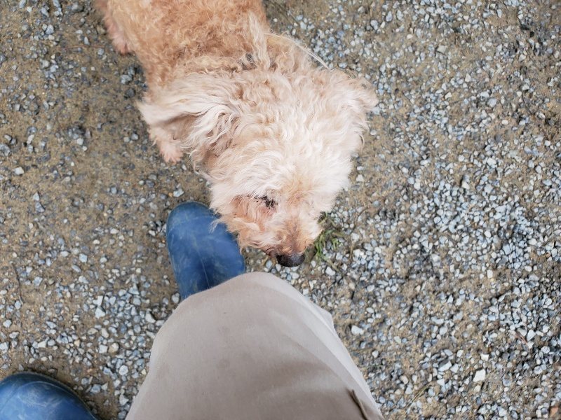 f:id:roukenhome-ann:20191021112346j:plain