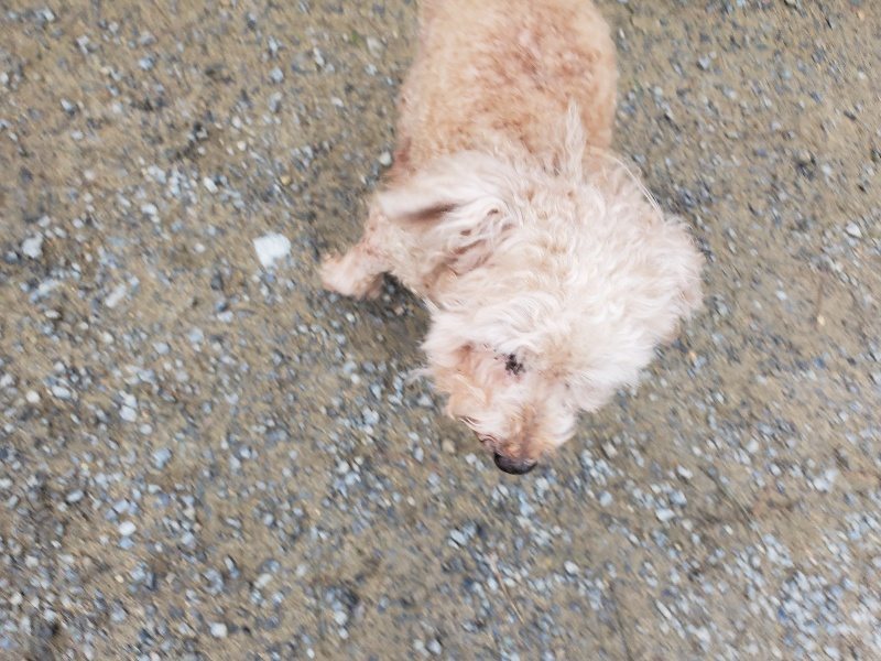 f:id:roukenhome-ann:20191021112401j:plain