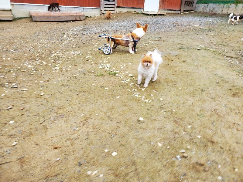 f:id:roukenhome-ann:20191021112528j:plain