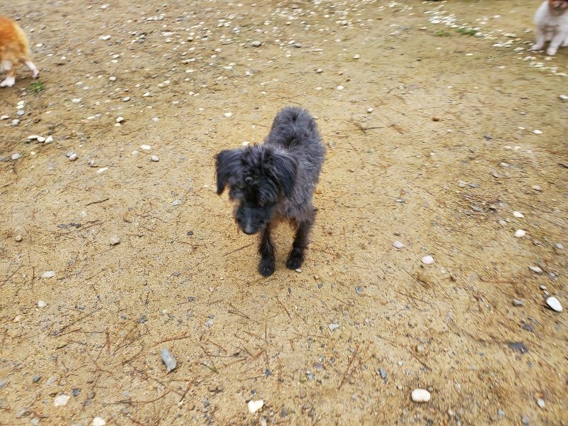 f:id:roukenhome-ann:20191021112540j:plain