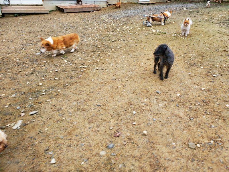 f:id:roukenhome-ann:20191021112547j:plain