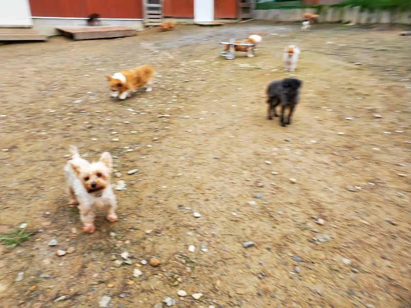 f:id:roukenhome-ann:20191021112555j:plain