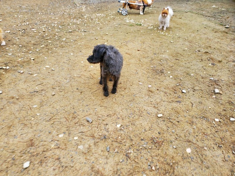 f:id:roukenhome-ann:20191021112602j:plain