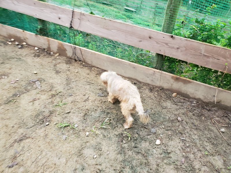 f:id:roukenhome-ann:20191021112636j:plain
