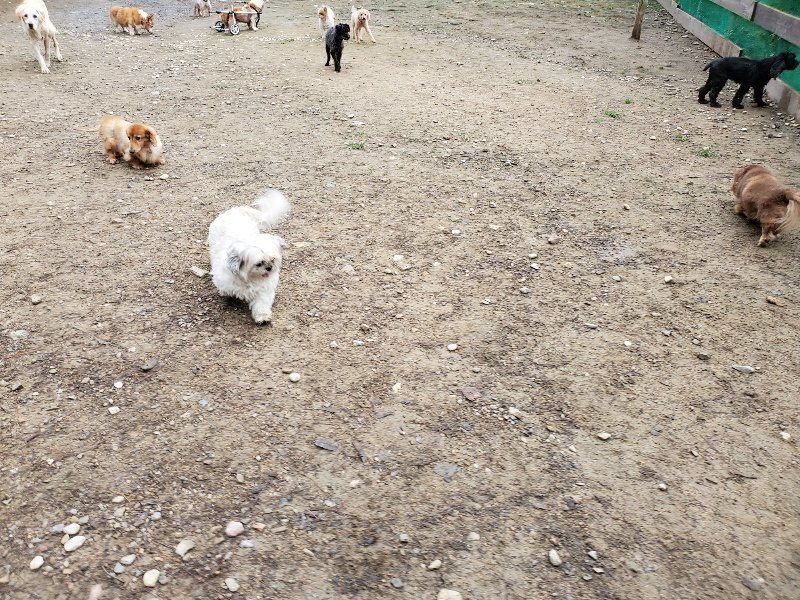 f:id:roukenhome-ann:20191021112652j:plain