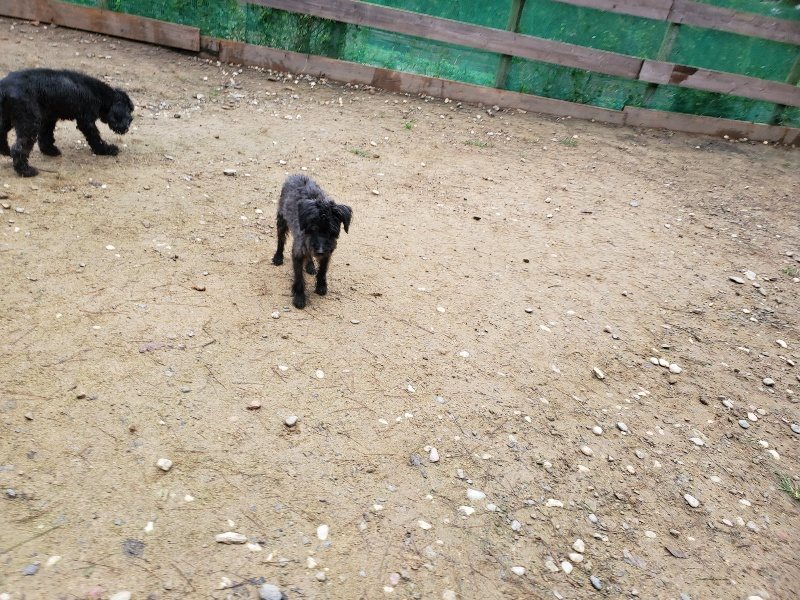 f:id:roukenhome-ann:20191021112715j:plain
