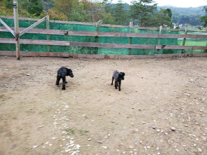 f:id:roukenhome-ann:20191021112740j:plain