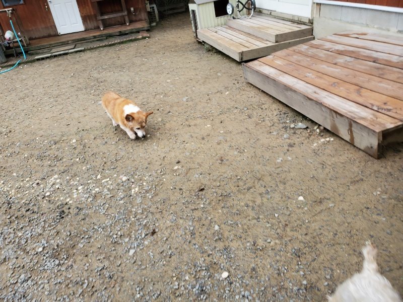 f:id:roukenhome-ann:20191021112756j:plain