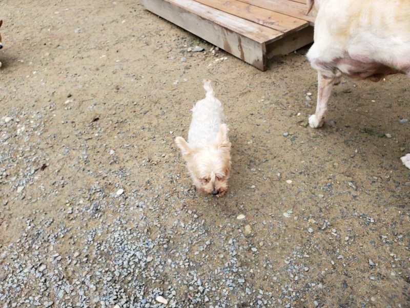 f:id:roukenhome-ann:20191021112811j:plain