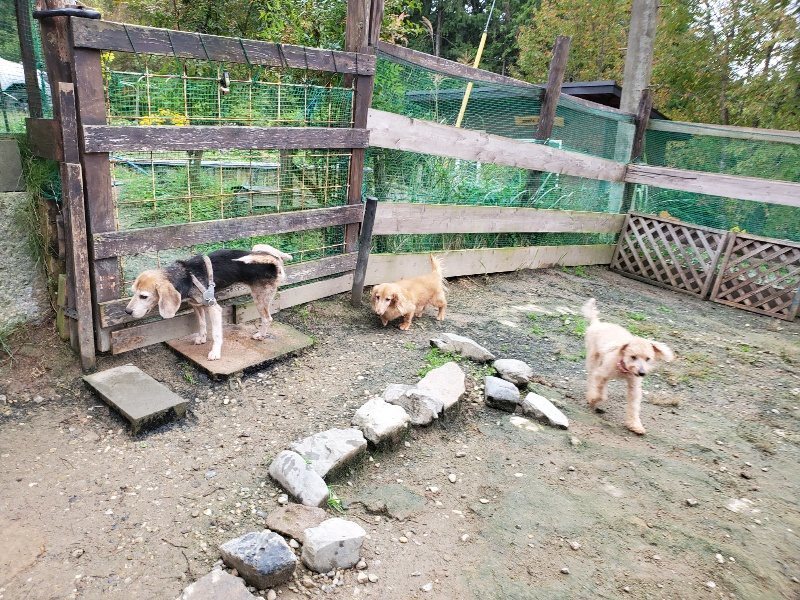 f:id:roukenhome-ann:20191021112923j:plain