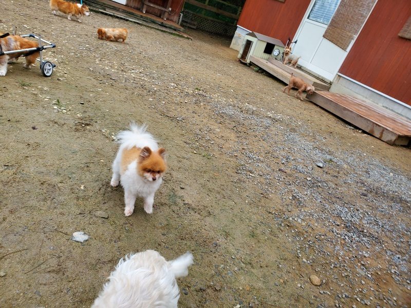 f:id:roukenhome-ann:20191021112933j:plain