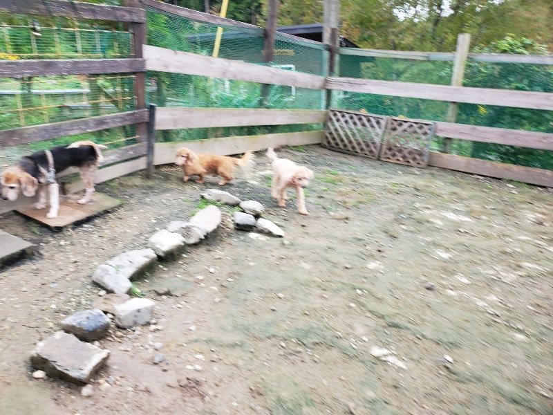 f:id:roukenhome-ann:20191021112939j:plain