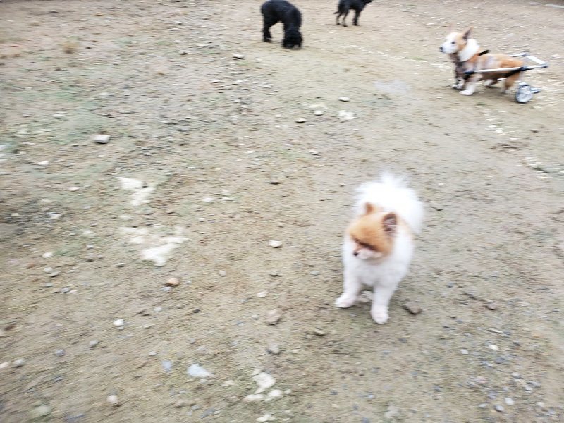 f:id:roukenhome-ann:20191021113003j:plain