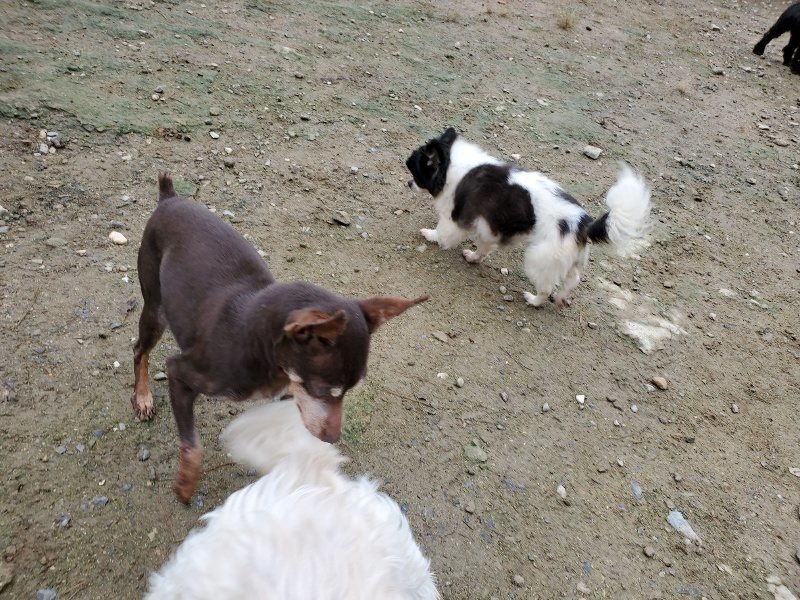 f:id:roukenhome-ann:20191021113040j:plain
