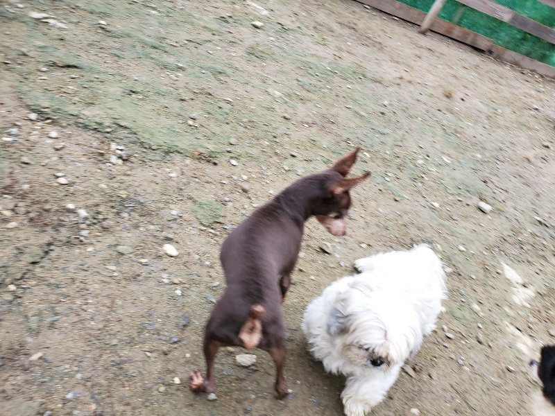 f:id:roukenhome-ann:20191021113047j:plain