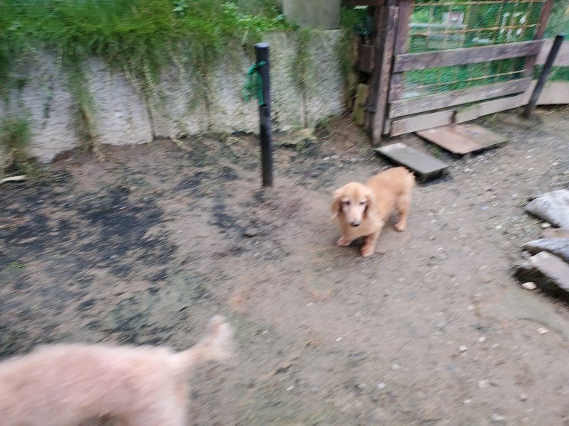 f:id:roukenhome-ann:20191021113110j:plain