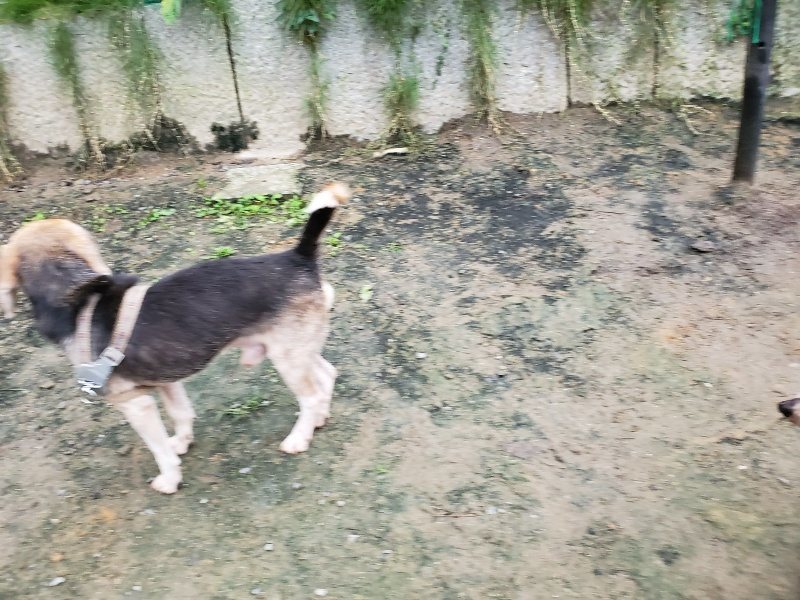 f:id:roukenhome-ann:20191021113127j:plain