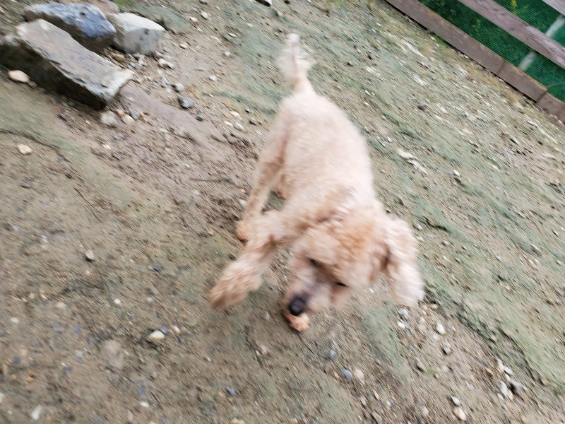 f:id:roukenhome-ann:20191021113134j:plain