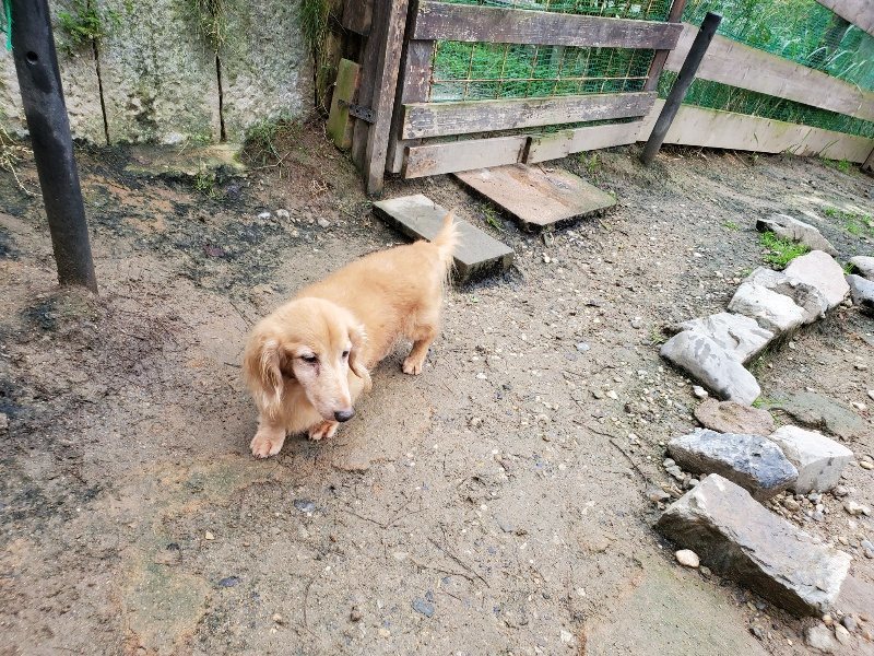 f:id:roukenhome-ann:20191021113145j:plain