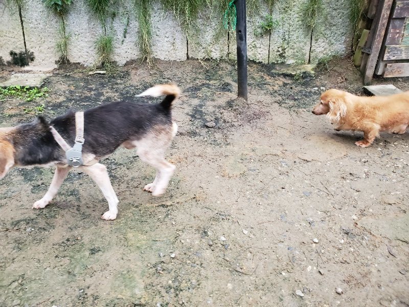 f:id:roukenhome-ann:20191021113210j:plain