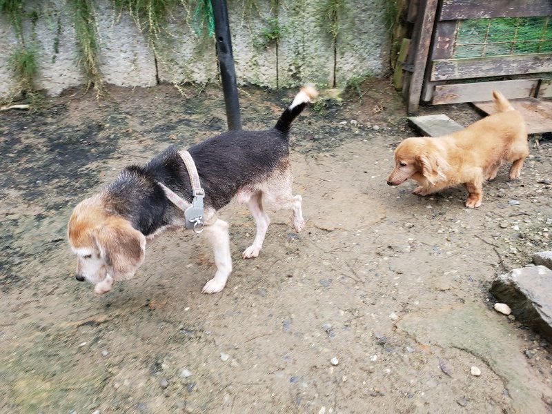 f:id:roukenhome-ann:20191021113219j:plain