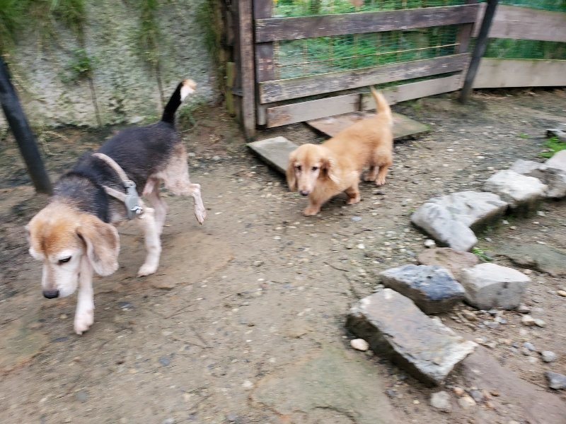 f:id:roukenhome-ann:20191021113235j:plain