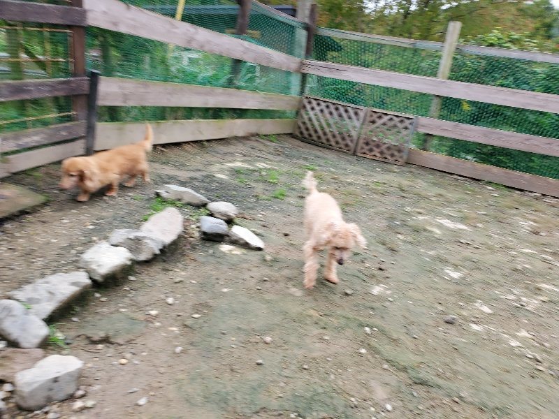f:id:roukenhome-ann:20191021113303j:plain