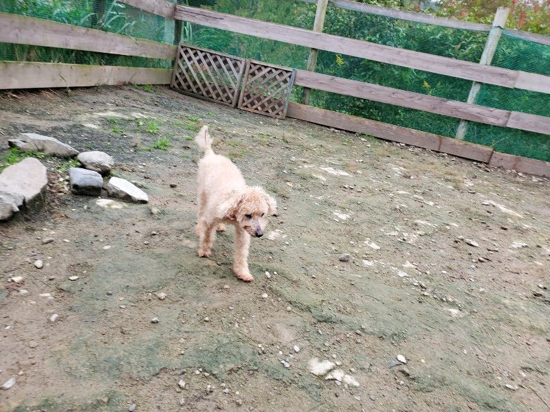 f:id:roukenhome-ann:20191021113338j:plain