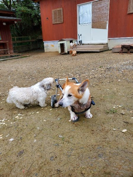 f:id:roukenhome-ann:20191021113514j:plain