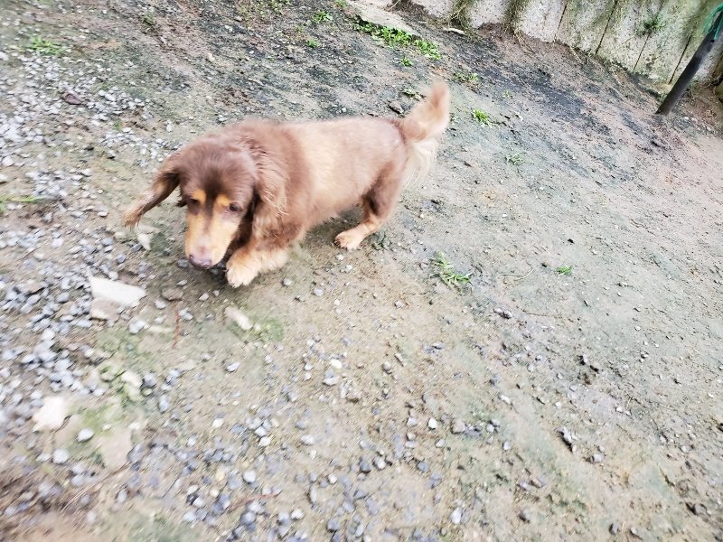 f:id:roukenhome-ann:20191021113638j:plain