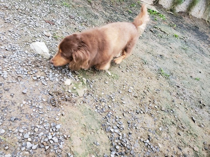 f:id:roukenhome-ann:20191021113710j:plain